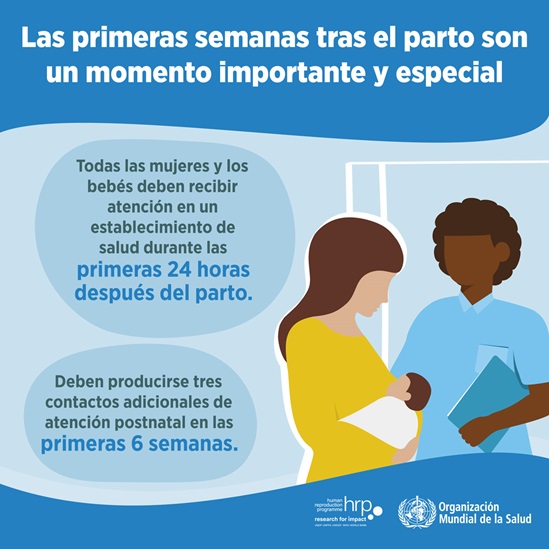 Infografía : Las primeras semanas tras el parto son un momento importante y especial