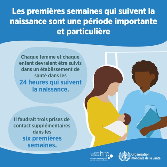 Infografie : Les premières semaines qui suivent la naissance sont une période importante et particulière