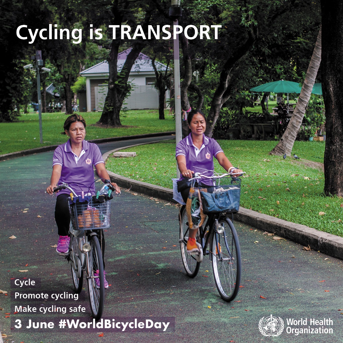 Cycling is transport Cycling is transport
