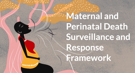 MPDSR Response framework training thumbnail