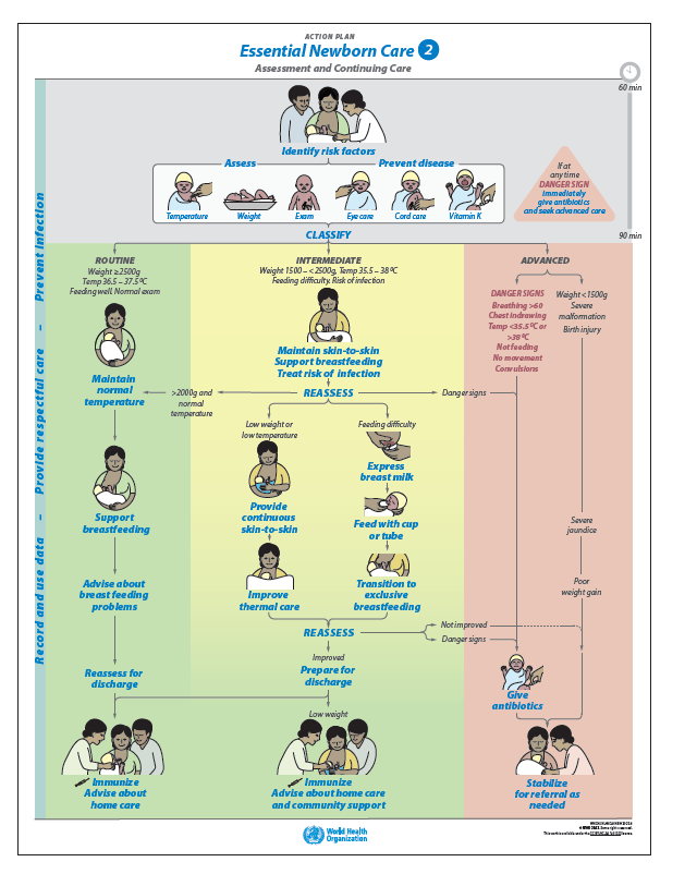 ENCC 2-Action plan 2 ENCC 2- Action plan 2