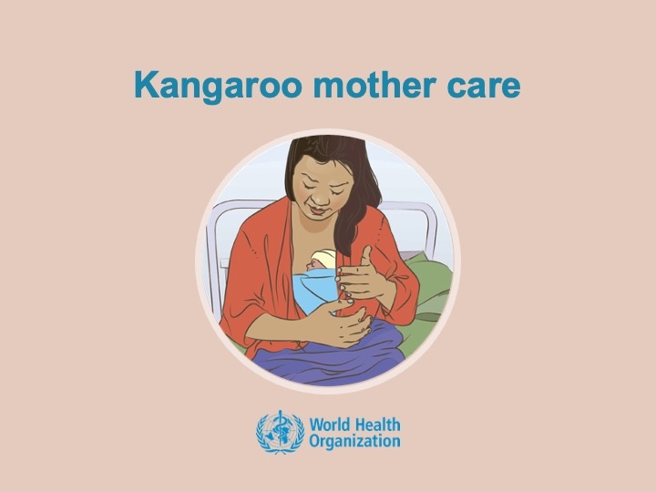 Kangaroo mother Kangaroo mother