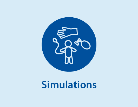 Simulations