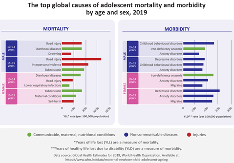 The top global causes of adolescent mortality and morbidity by age and sex, 2019