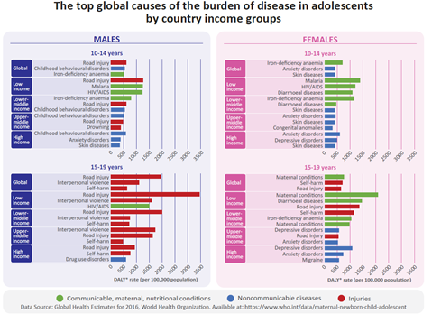 The top global causes of the burden of disease in adolescents by country income groups
