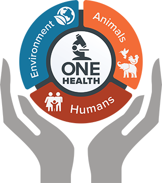 OneHealthGraphic