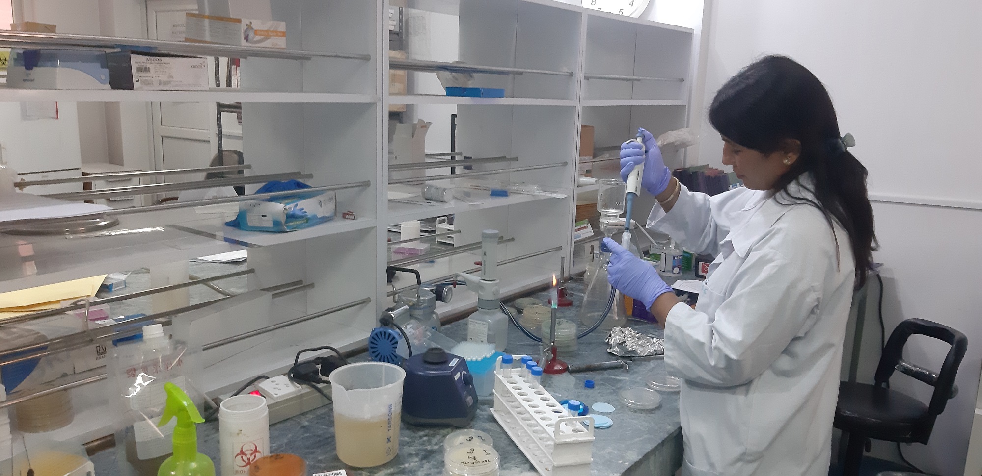 A medical lab technologist processing water samples to detect AMR-causing organisms at the National Public Health Laboratory, Bagmati Province, Nepal