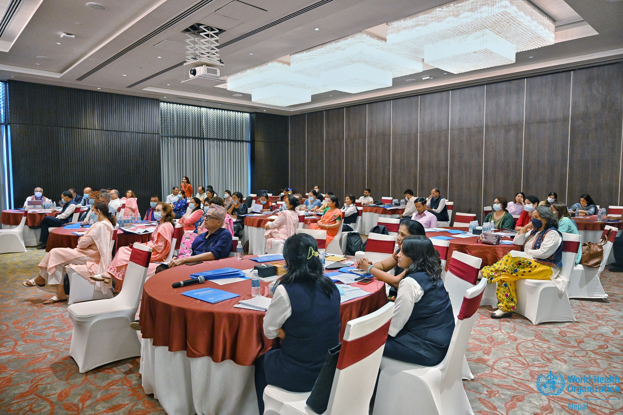 Stakeholders working to develop a two-phase plan to strengthen SRHR preservice education in Nepal_1_S.G.Amatya