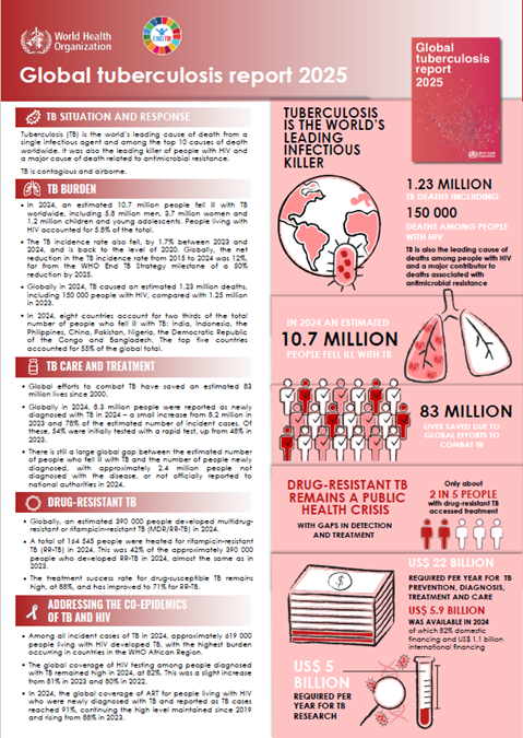Global TB Report 2025: information sheet