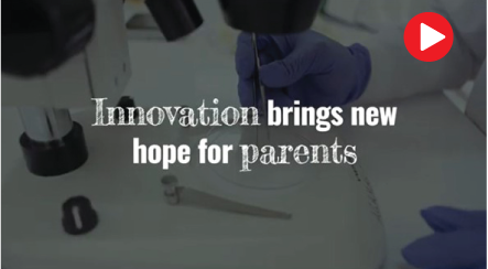 world-malaria-report-2024-video-tools Video malaria fighting tools for world malaria report 2024