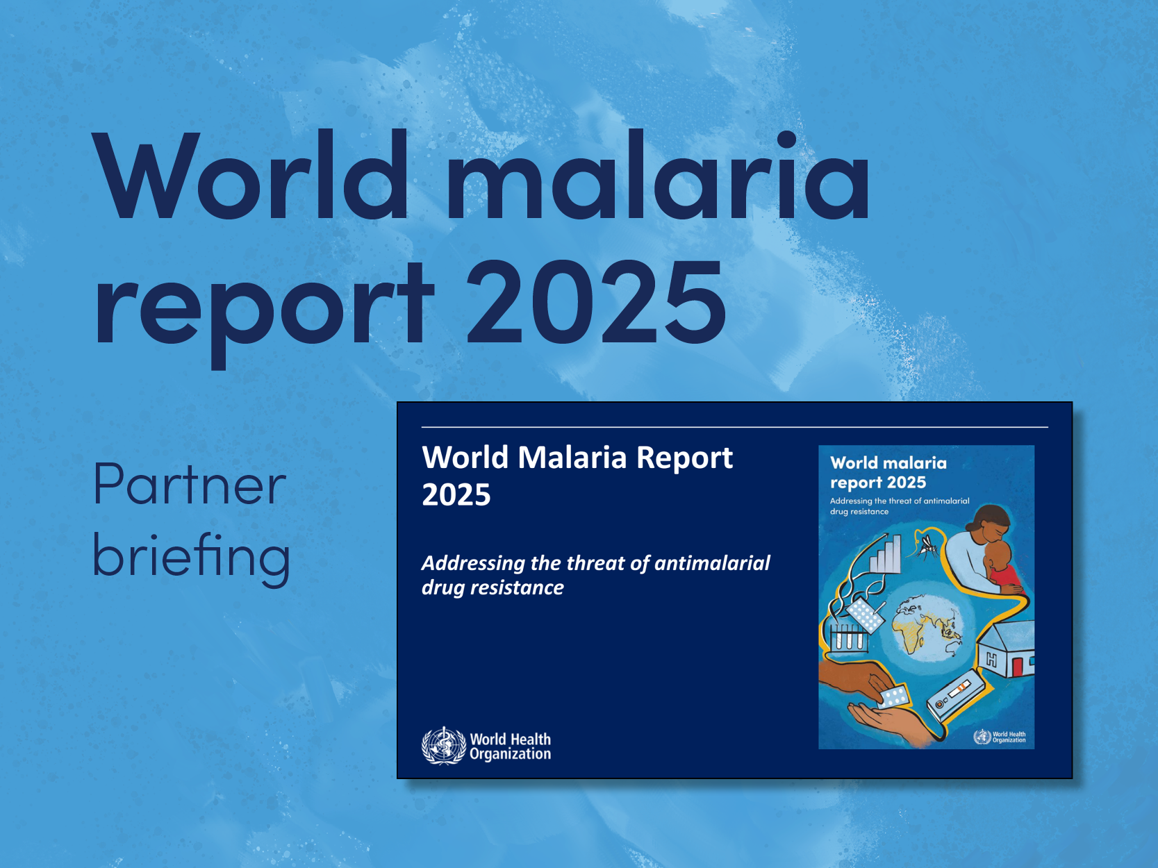 Vignette WMR 2025 partner briefing