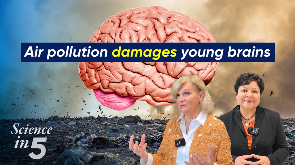 Science in 5 podcast - Air pollution damages young brains