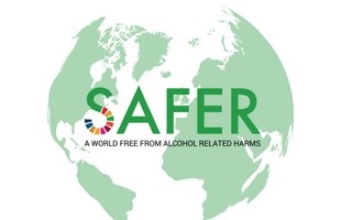 msb_safer_300 msb_safer_300