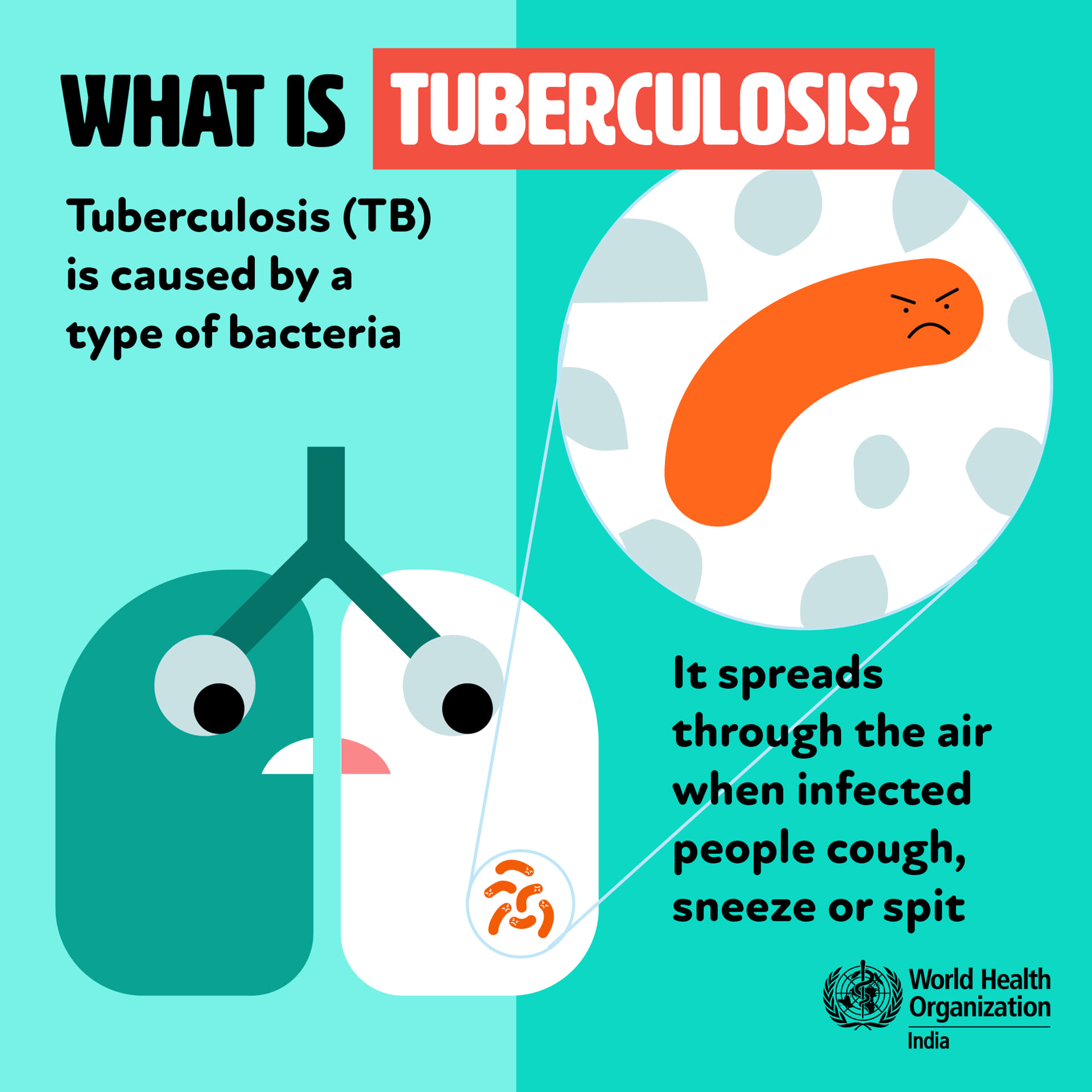 What is tuberculosis