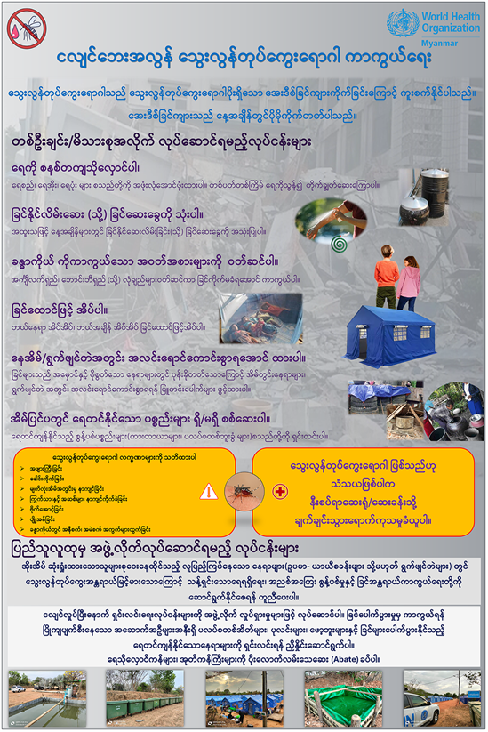 Dengue Infographic 2025_mmr_thumb