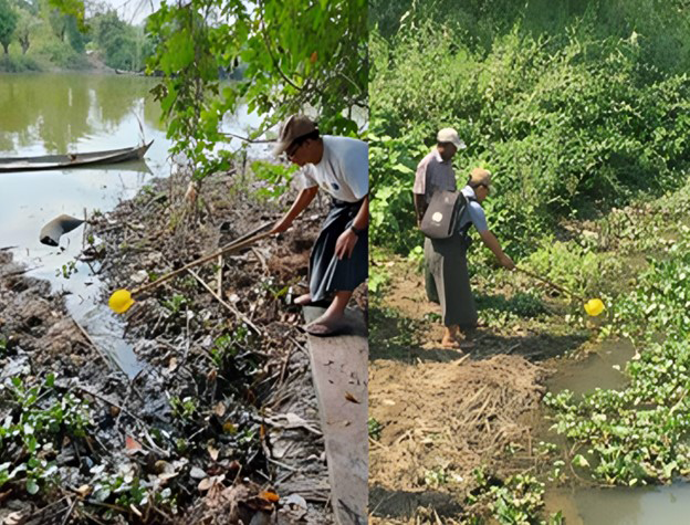 field staff conducted meticulous larval surveys