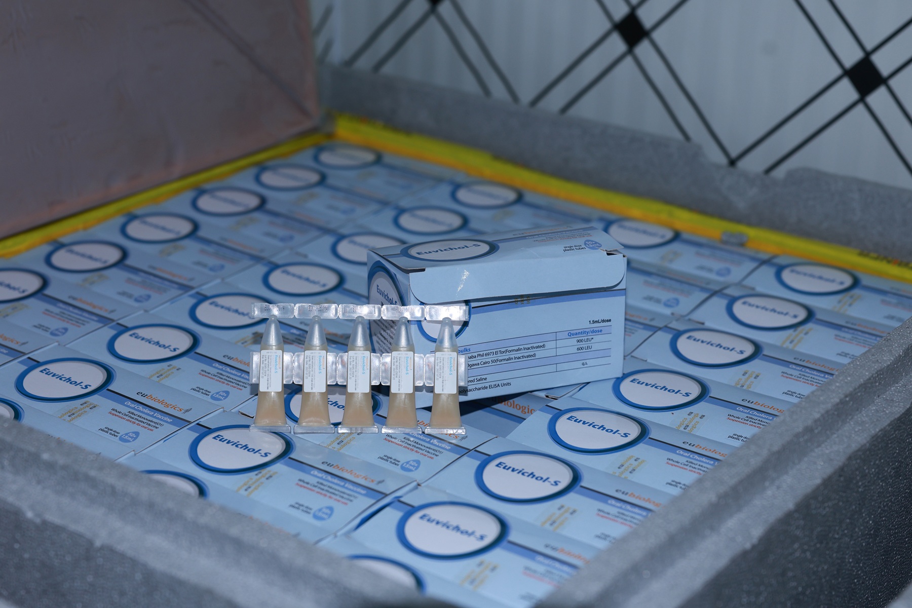 A close up image of the cholera vaccine doses handed over by WHO and UNICEF to support emergency response in Nepal