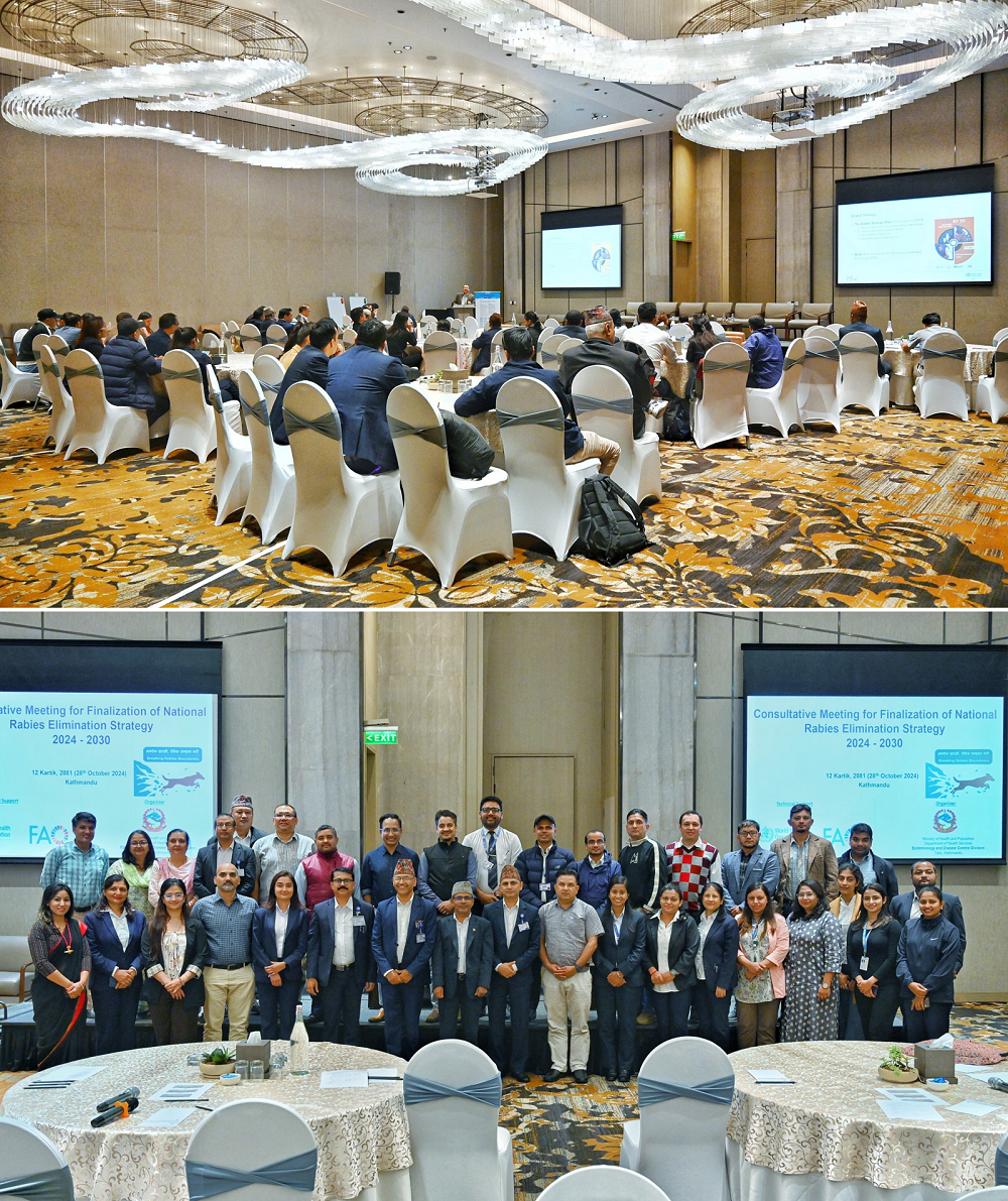 Participants actively engaged in the consultative workshop to finalize the National Strategic Plan for rabies elimination in Bagmati province, Nepal (top), and a group photo of the participants (bottom)