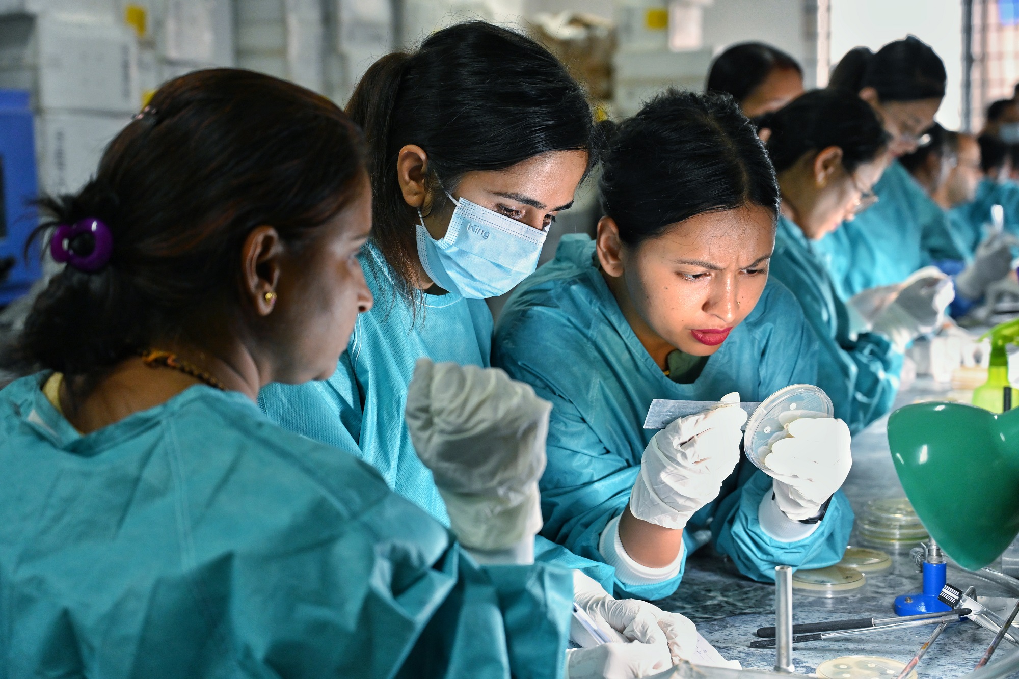 Participants in a practical session at the training on implementation of revised SOP in bacteriology including fastidious and newly added pathogens in GLASS-AMR held in Bagmati province, Nepal