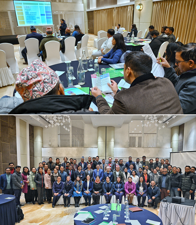 A collage showcasing paticipants actively engaged in a review meeting of the AMR Surveillance Program in Nepal (top), accompanied by a group photo of the participants (bottom)