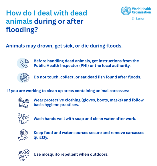 How do I deal with dead animals during or after flooding poster