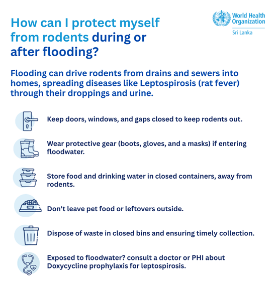 Info Graphic depicting how to protect myself from rodents during or after flooding