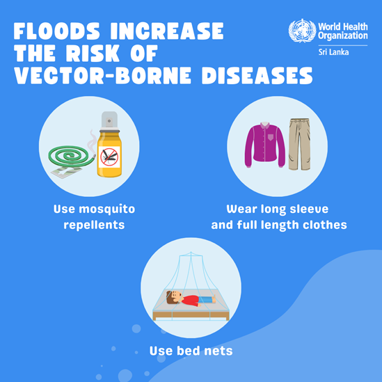 Poster depicting the risks of vector borne diseases