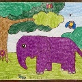 Harmony Biodiversity and Ecology, Healthy and Happy Mankind by Sandy Wong