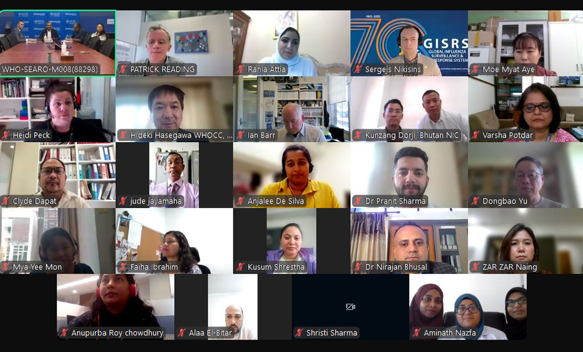 Webinar participants -  strengthening Influenzas surveillance