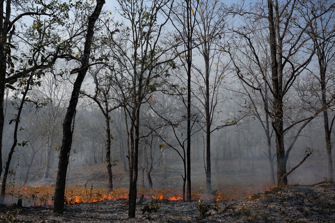 Forest fires in Chiang Mai © UN Thailand/2020