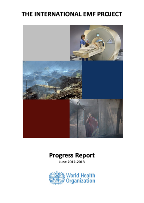 International EMF Project - Progress reports - June 2012-2013