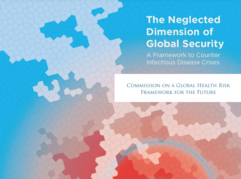 The neglected dimension of global security - a framework to counter infectious disease crises