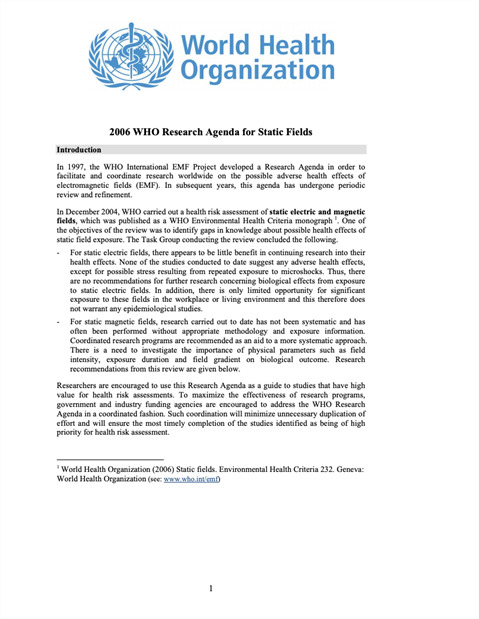 2006 WHO Research Agenda for Static Fields