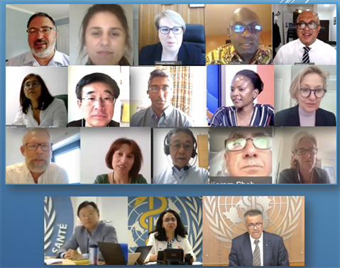 Biographies of WHO Strategic and Technical Advisory Group for TB (STAG-TB) Members, 2020