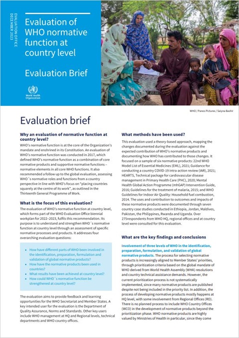 Evaluation of WHO normative function at country level: Evaluation brief