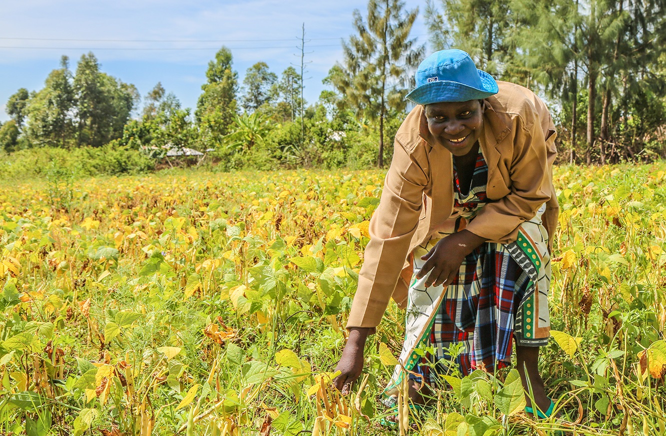 Tobacco farmer