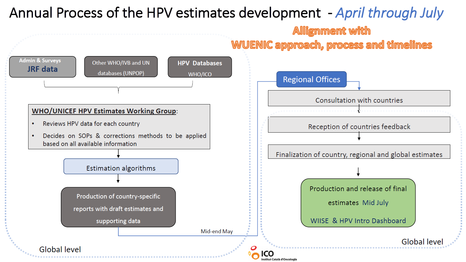 Annual process of the HPV estimates development