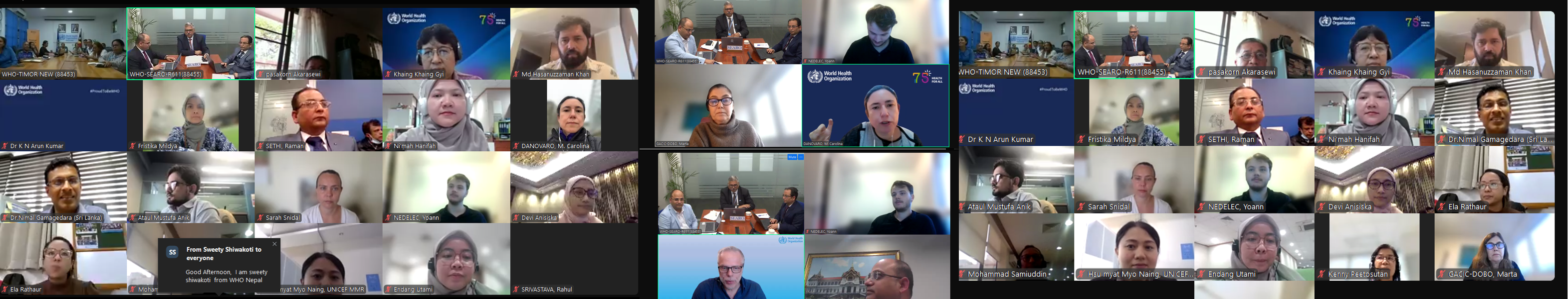 Group Photo of a Virtual meeting