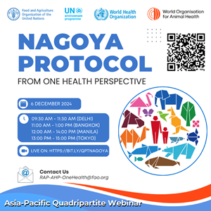 Nagoya Protocol Webinar SM Square1 Nagoya Protocol webinar poster