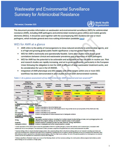 Wastewater and Environmental Surveillance: summary for antimicrobial resistance