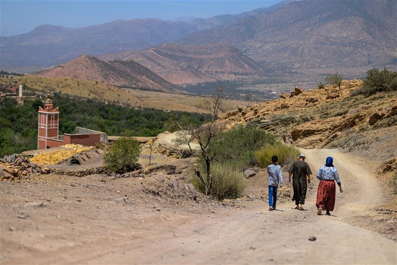 Living with infertility – World Health Organization (WHO)