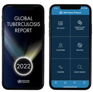 Preview of the GTB report app 2022