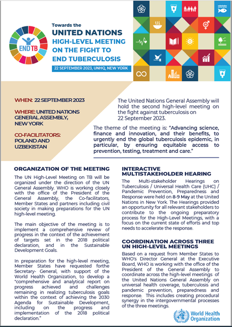 Flyer: The second United Nations High-level meeting on the fight against tuberculosis
