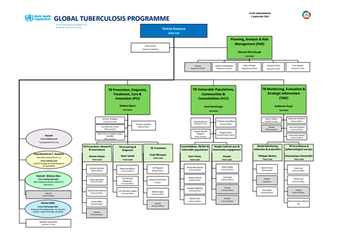 Global Tuberculosis programme organigramme