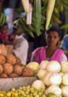healthy-food healthy food cover