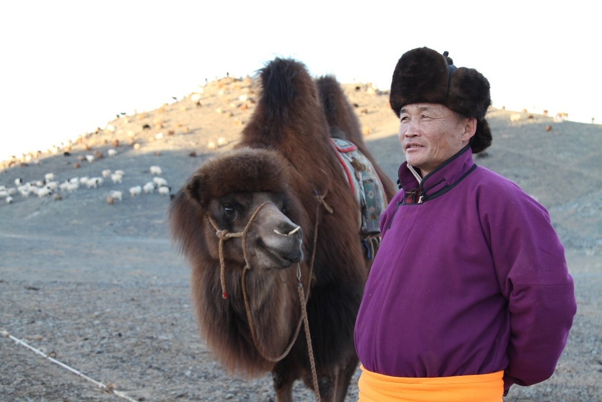 Mongolia’s mobile health clinics bring primary health care to ...