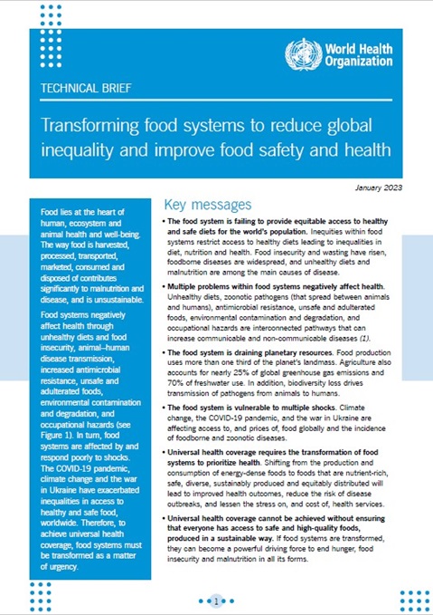 Transforming food systems to reduce global inequality and improve food safety and health