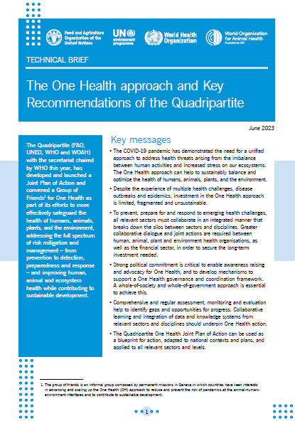The One Health approach and Key Recommendations of the Quadripartite