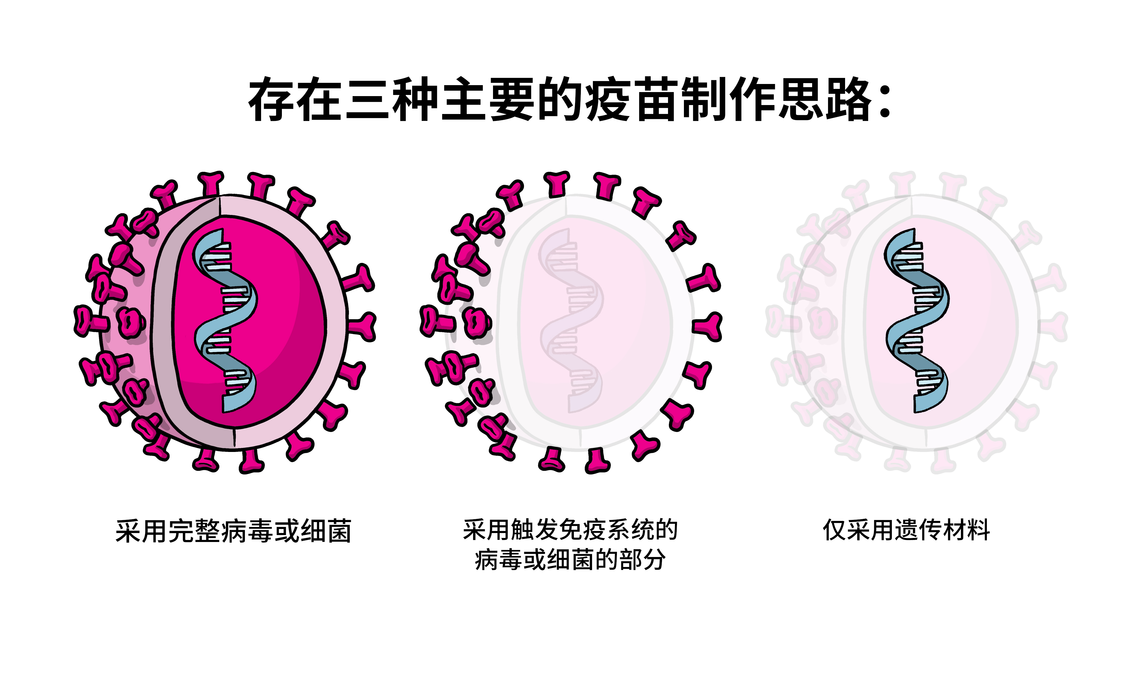 Vaccines Topics Four images working 01