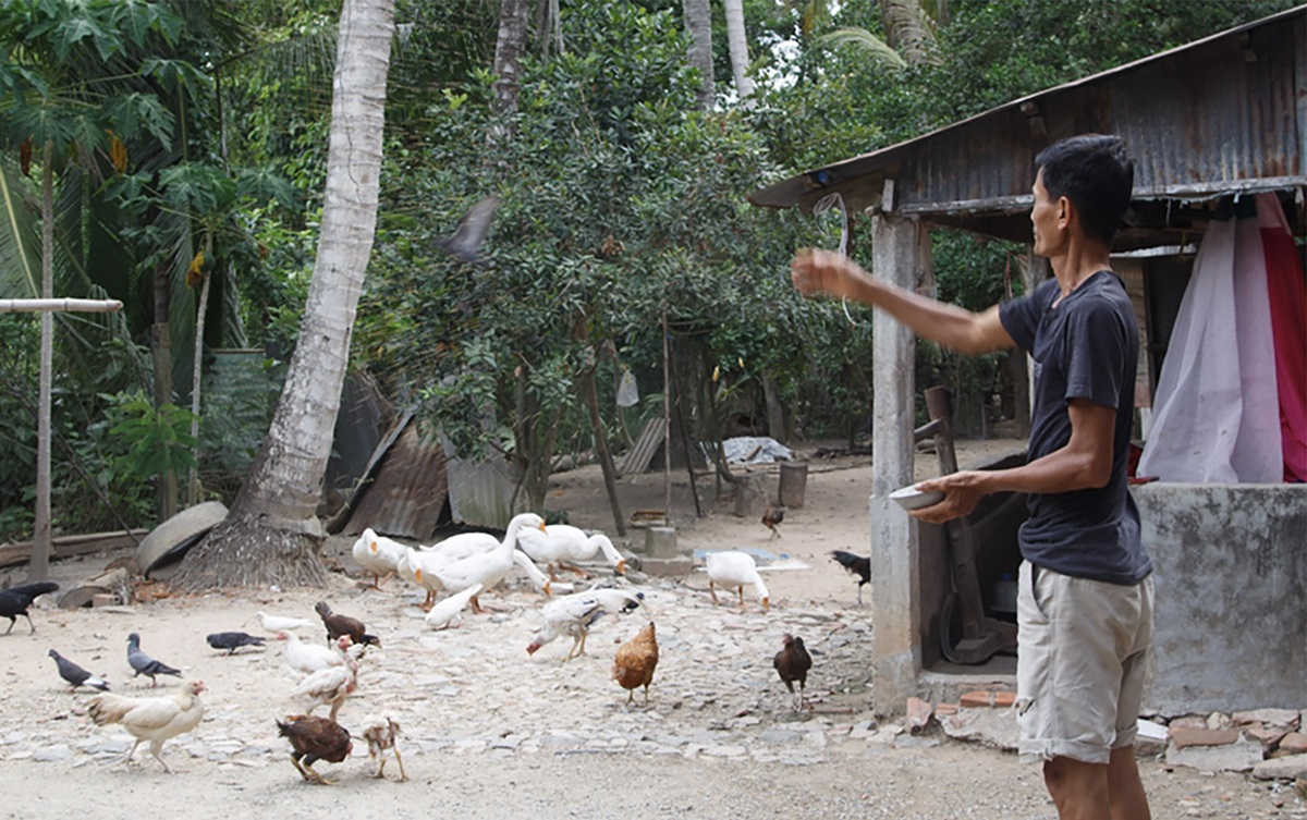 Addressing the low risk perception of avian flu in Cambodia